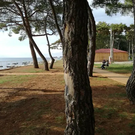 Apartament Jenny